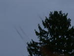 DSCN5267.jpg