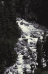 White_Water_0730.gif