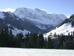 DSCN3343.jpg