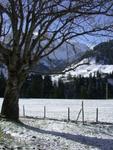 DSCN3346.jpg