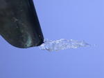 DSCN3348.jpg