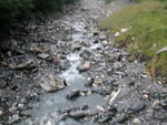 DSCN3212.jpg