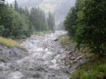 DSCN3214.jpg