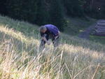 DSCN0808.jpg