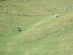 DSCN0844.jpg