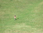 DSCN0845.jpg