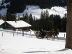 DSCN0181.jpg