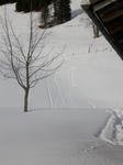 DSCN0203.jpg
