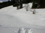 DSCN0207.jpg