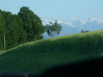 DSCN5323.jpg