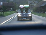 DSCN5338.jpg