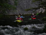 DSCN5356.jpg