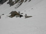 DSCN0249.jpg