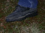DSCN0447.jpg