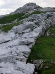 DSCN0458.jpg