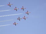 DSCN0493.jpg