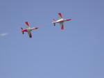 DSCN0508.jpg