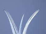DSCN0519.jpg