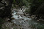 DSC_0195.jpg