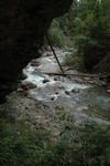 DSC_0197.jpg
