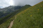 Riding the Gsür