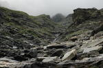 DSC_0263.jpg