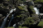 DSC_0290.jpg