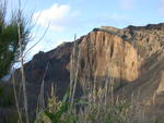 DSCN1799.jpg