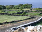 DSCN1838.jpg