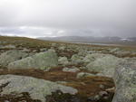 DSCN0264.jpg