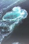 saltstraumen.jpg