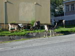 DSCN0536.jpg