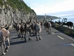 DSCN0539.jpg