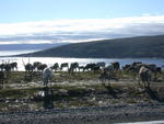 DSCN0540.jpg