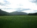 DSCN0575.jpg
