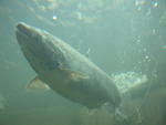 DSCN0585.jpg