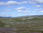 DSCN0596.jpg