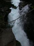 DSCN0621.jpg