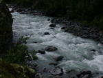 DSCN0306.jpg