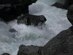 DSCN0309.jpg