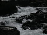 DSCN0311.jpg