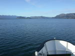 DSCN0391.jpg