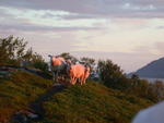 DSCN0405.jpg