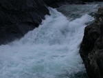 DSCN0347.jpg