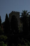 DSC_0007.jpg