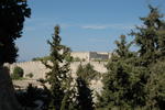 DSC_0010.jpg