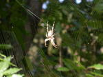 DSCN0611.jpg