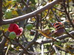 DSCN0664.jpg