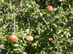 DSCN0667.jpg