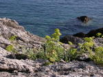DSCN0677.jpg